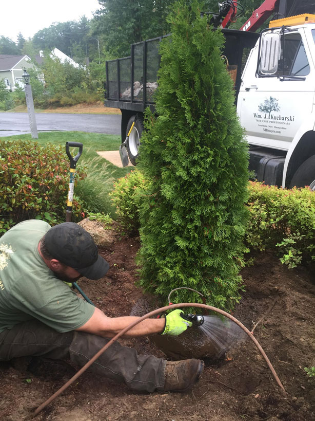 Kucharski Planting & Watering